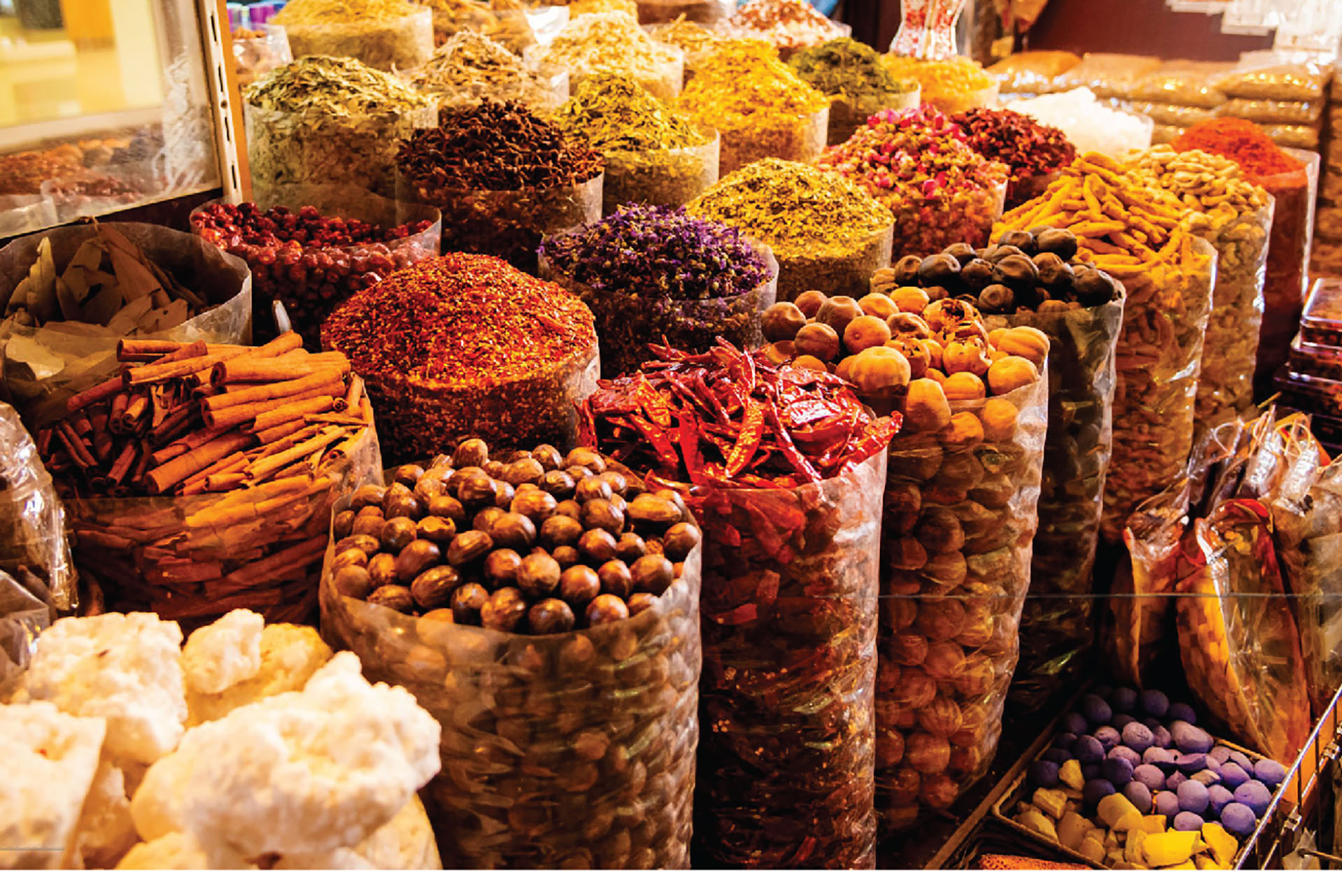 Dubai Airport Layover Tour - image 7