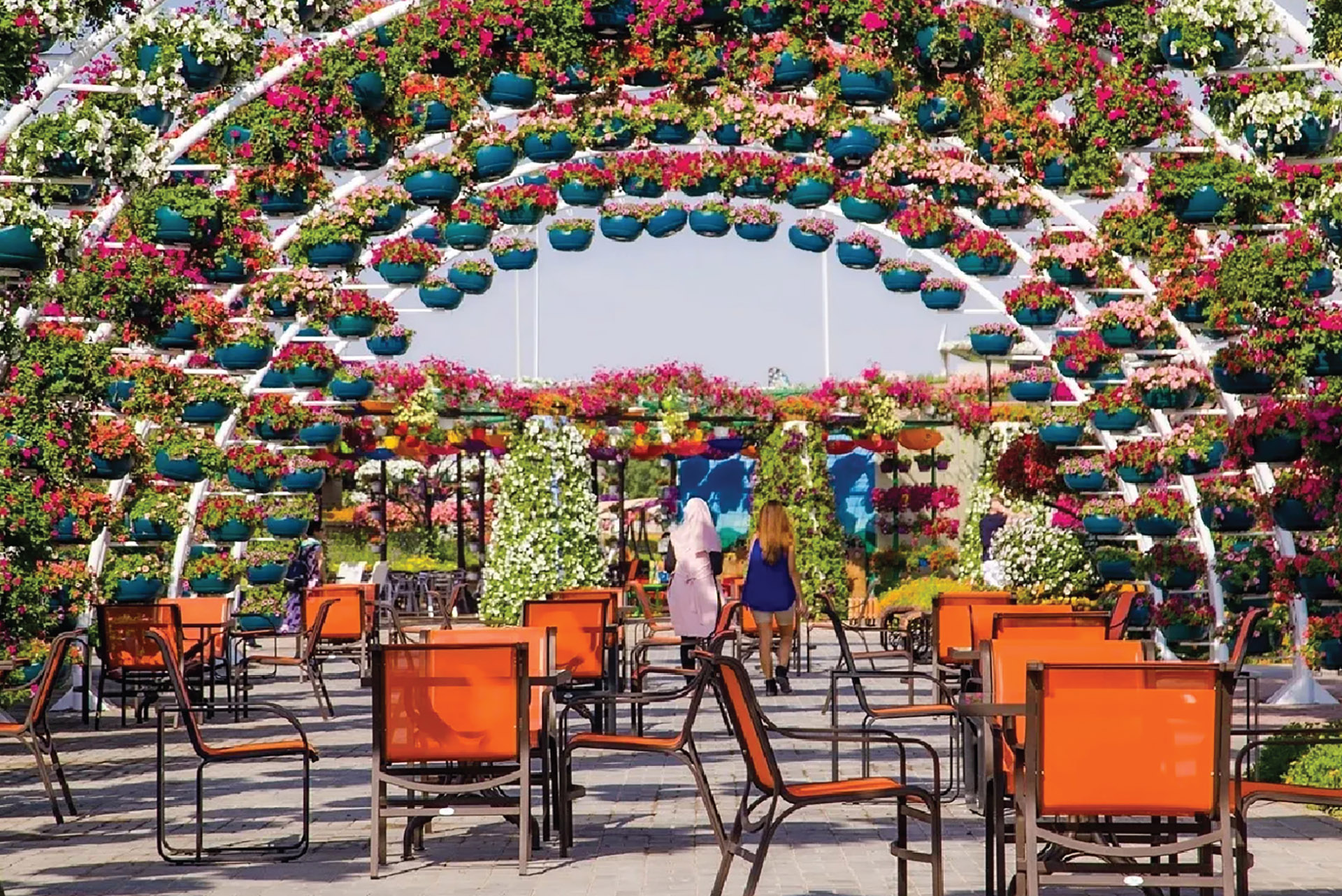 Dubai Miracle Garden - image 6