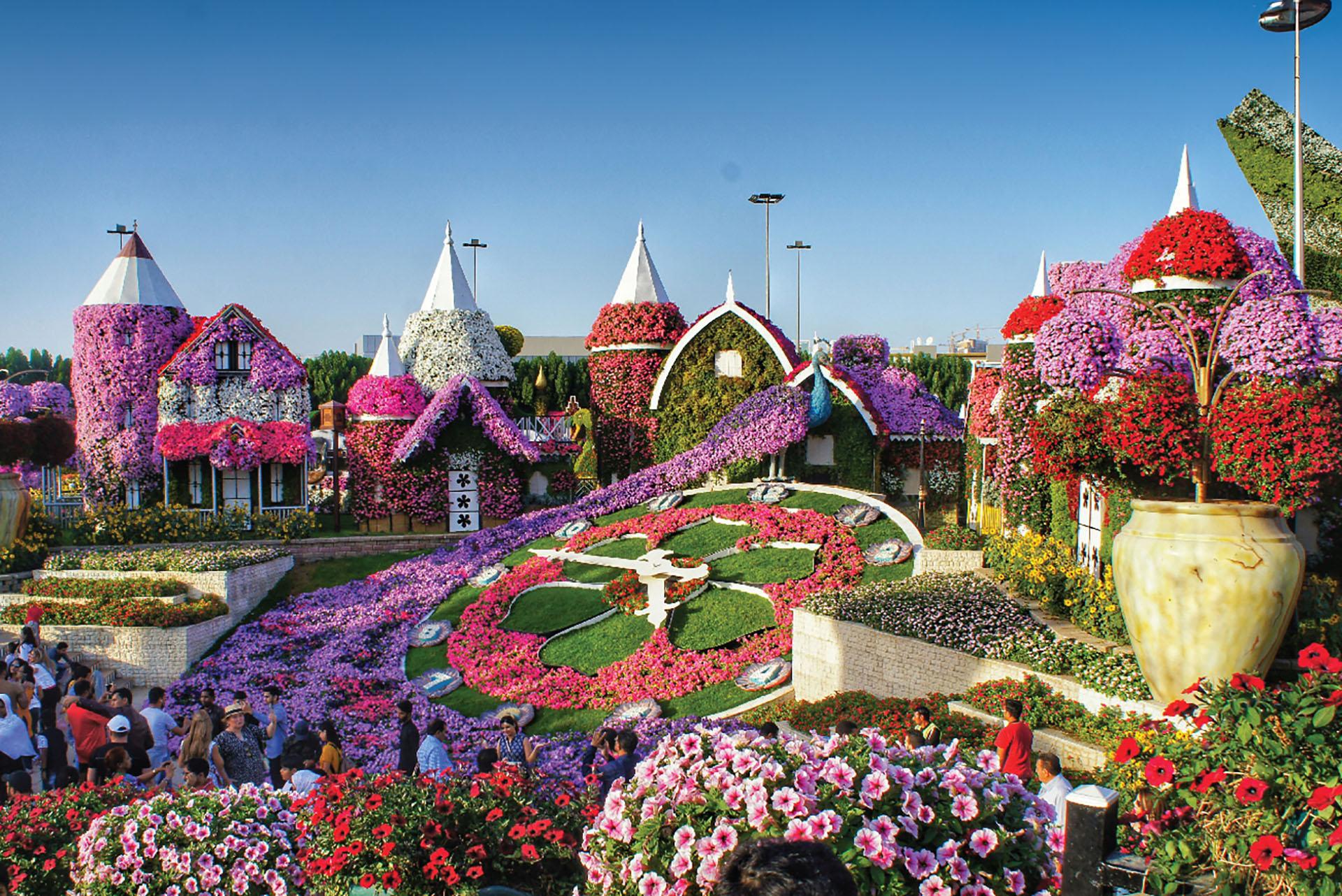 Dubai Miracle Garden - image 2