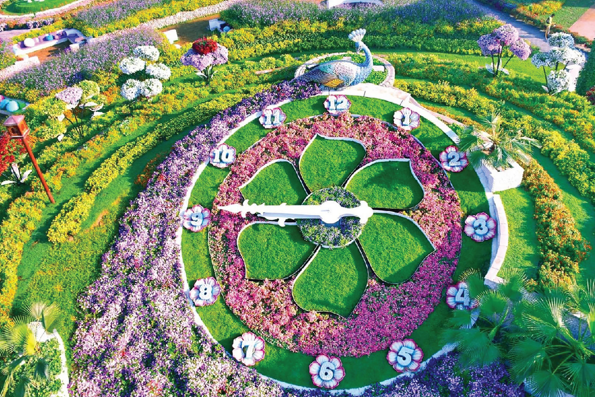 Dubai Miracle Garden - image 4