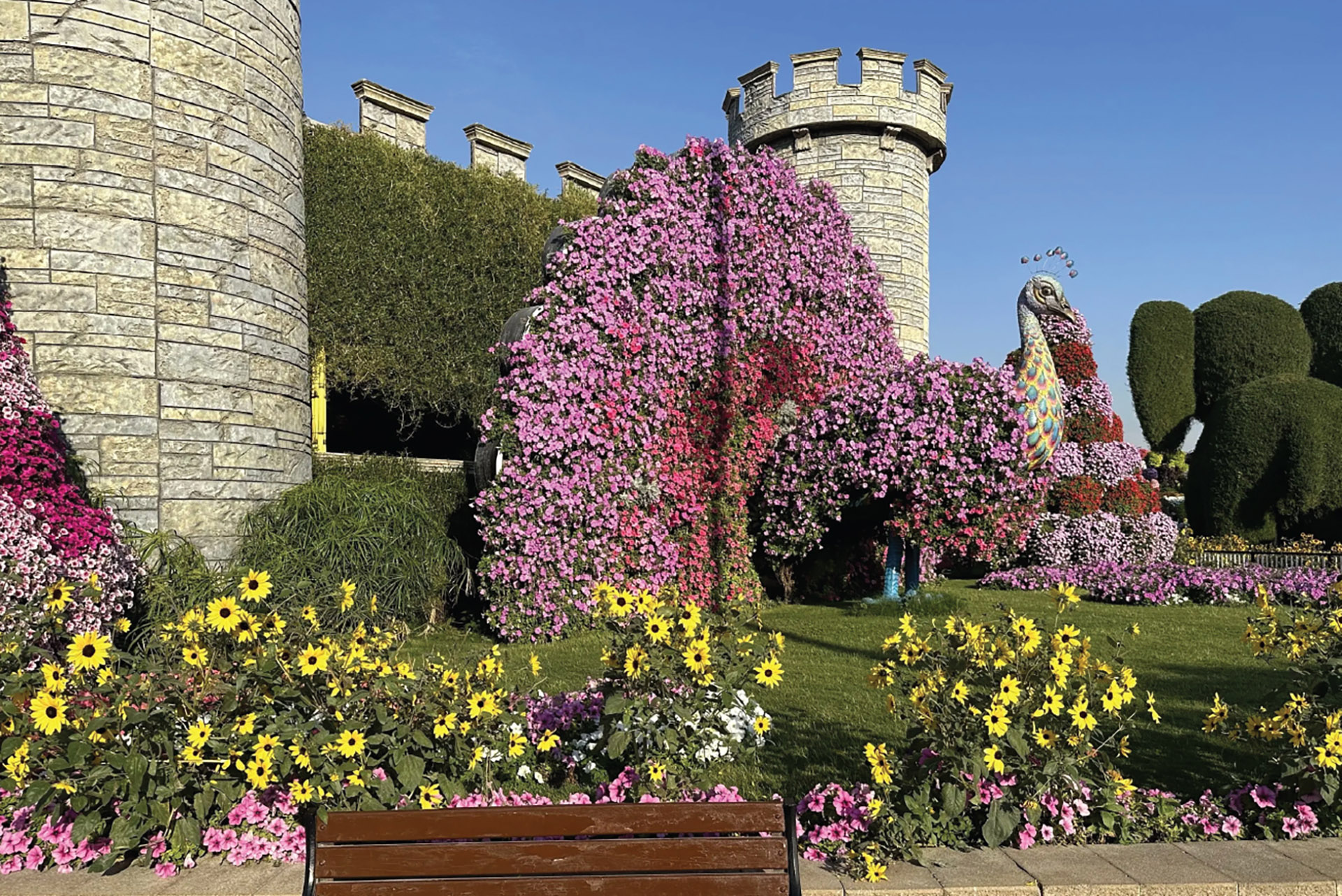 Dubai Miracle Garden - image 9