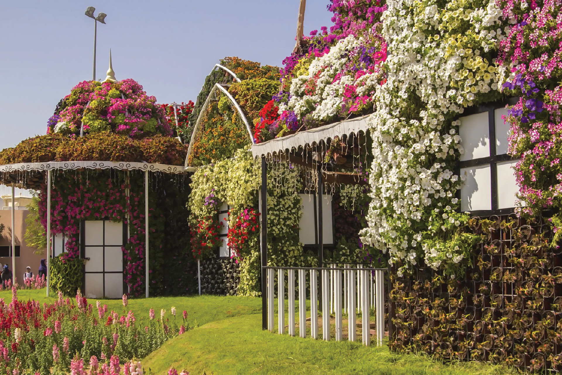 Dubai Miracle Garden - image 8