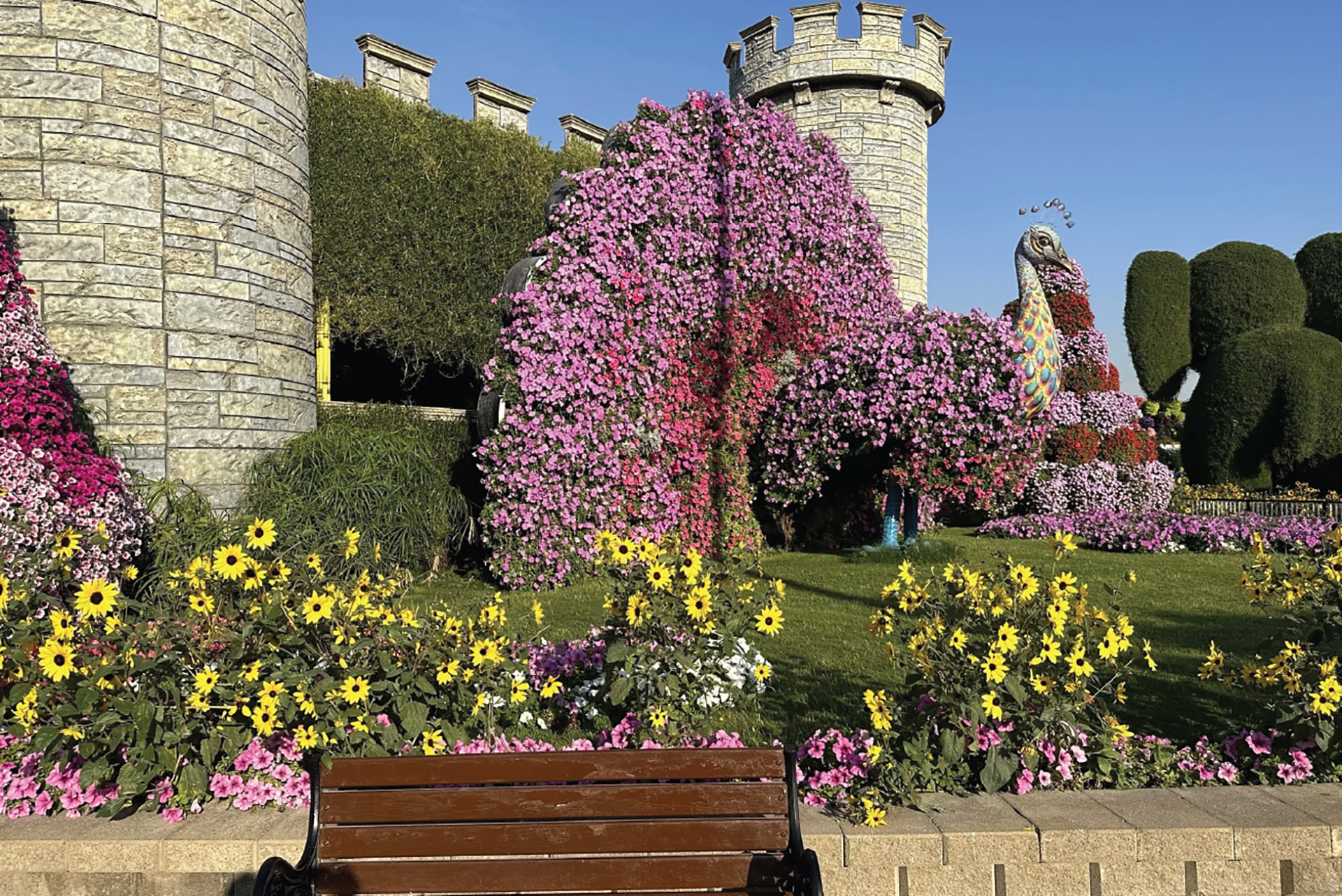 Dubai Miracle Garden - image 7