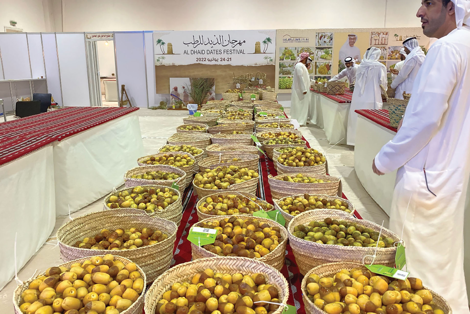 Fujairah East Coast - live action moment
