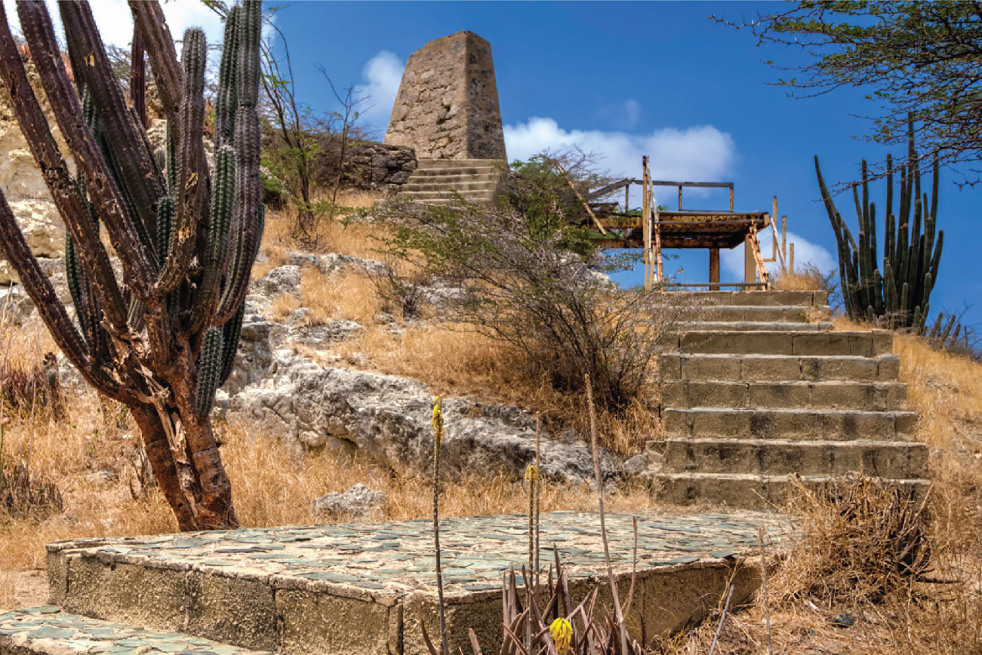 Fujairah East Coast - thrilling adventure