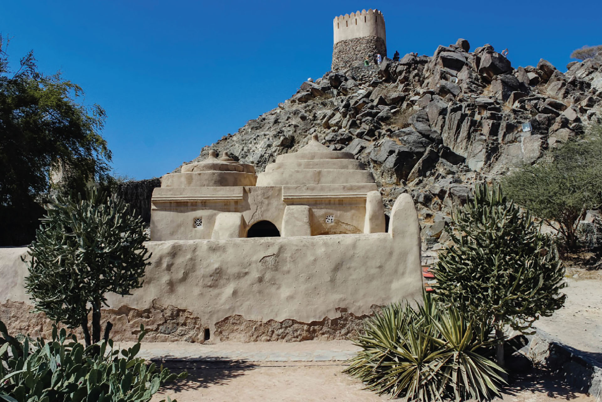 Fujairah East Coast - professional tour guide