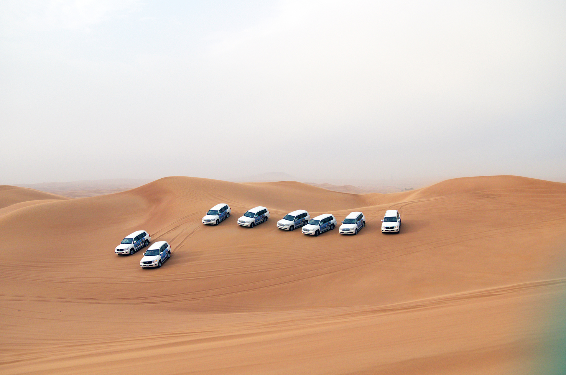 Group Desert Safari - live action moment