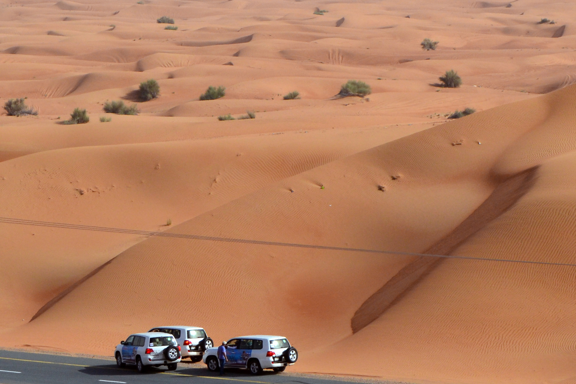 Group Desert Safari - exhilarating group fun