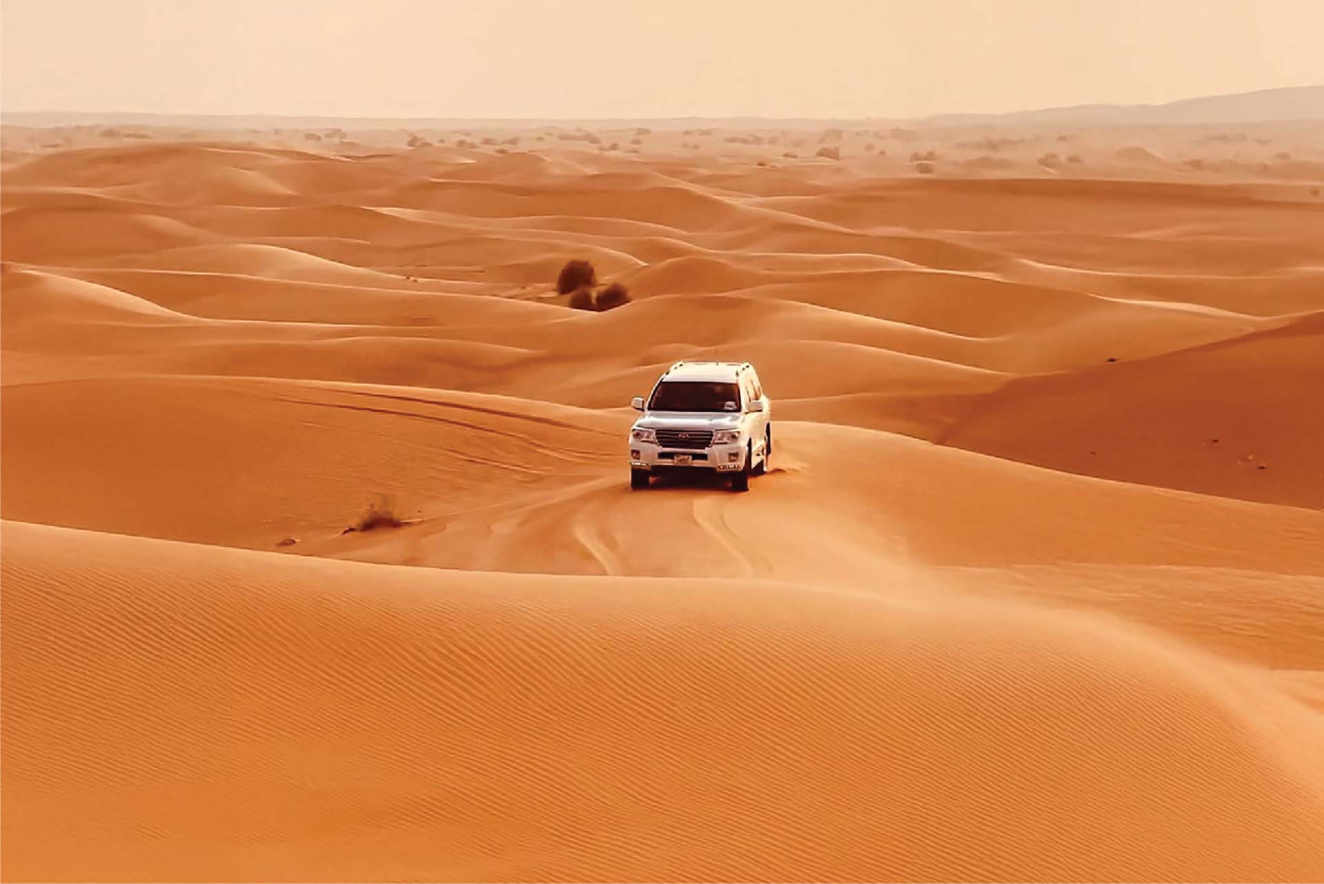 Mleiha Desert Safari - thrilling adventure