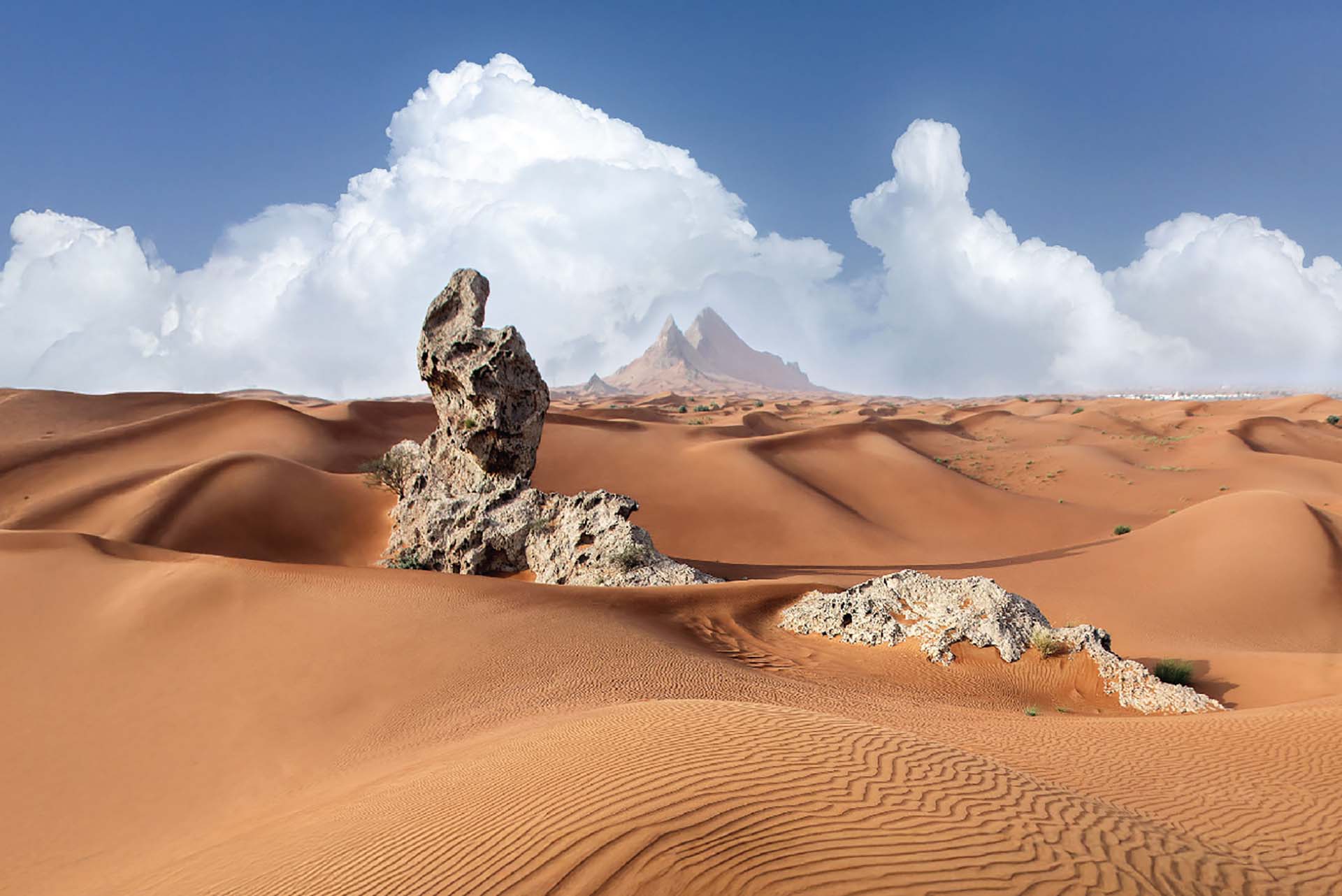 Mleiha Desert Safari - professional tour guide