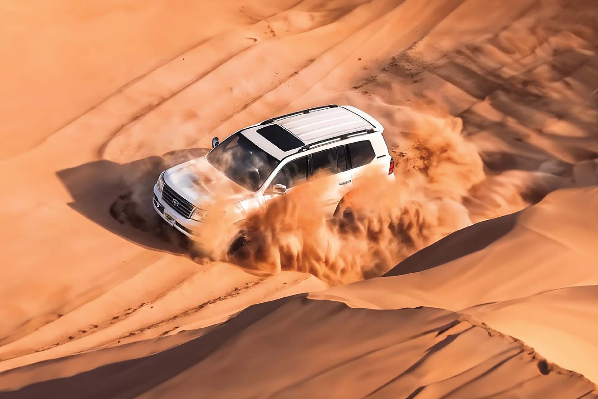 Mleiha Desert Safari - ultimate thrill