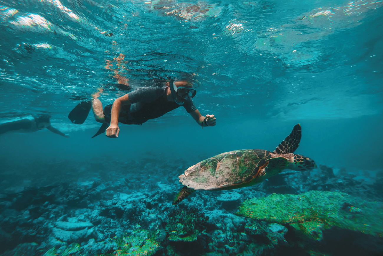 Musandam Dibba Tour - snorkeling adventure