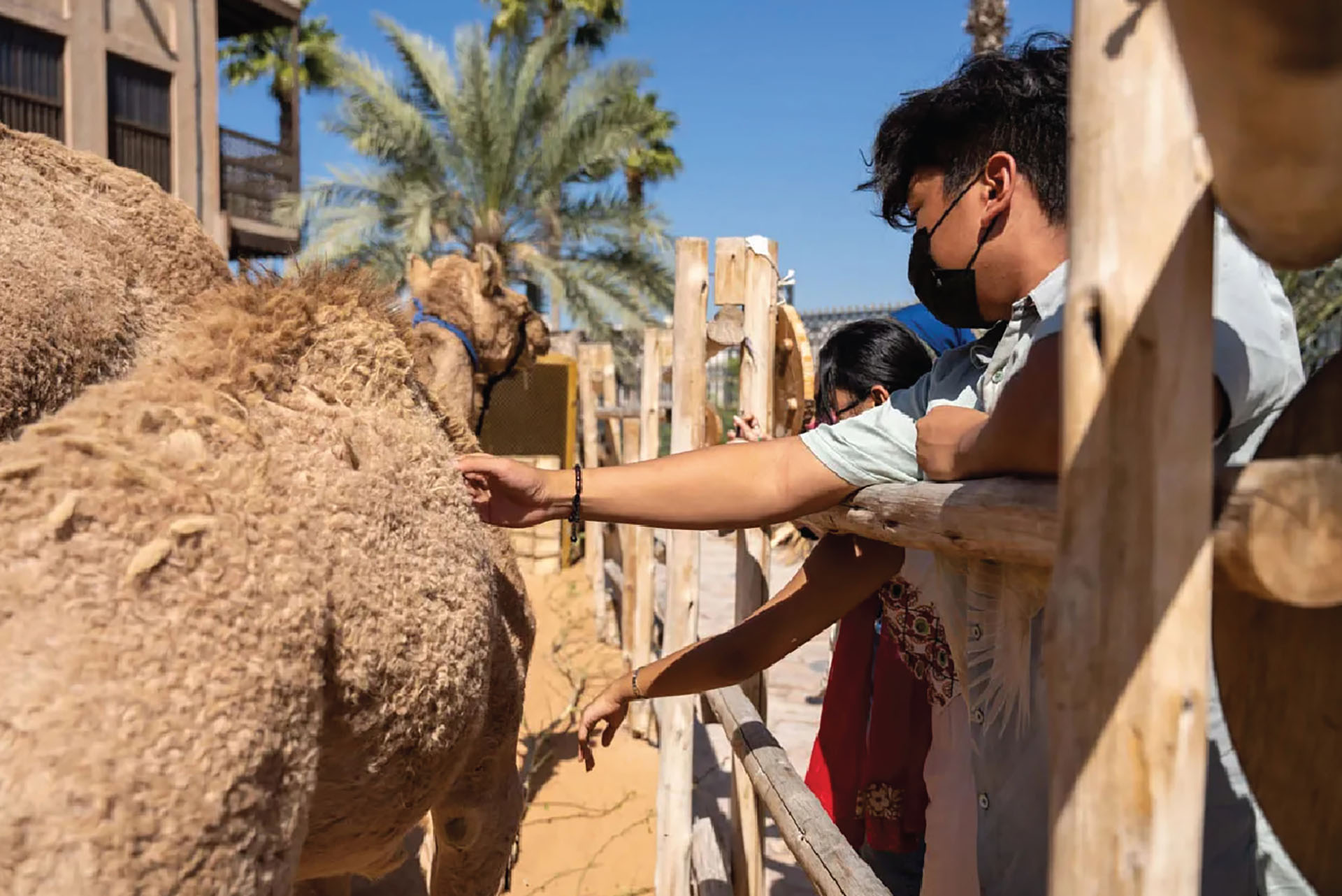 Old Dubai Heritage Walking Tour - image 8
