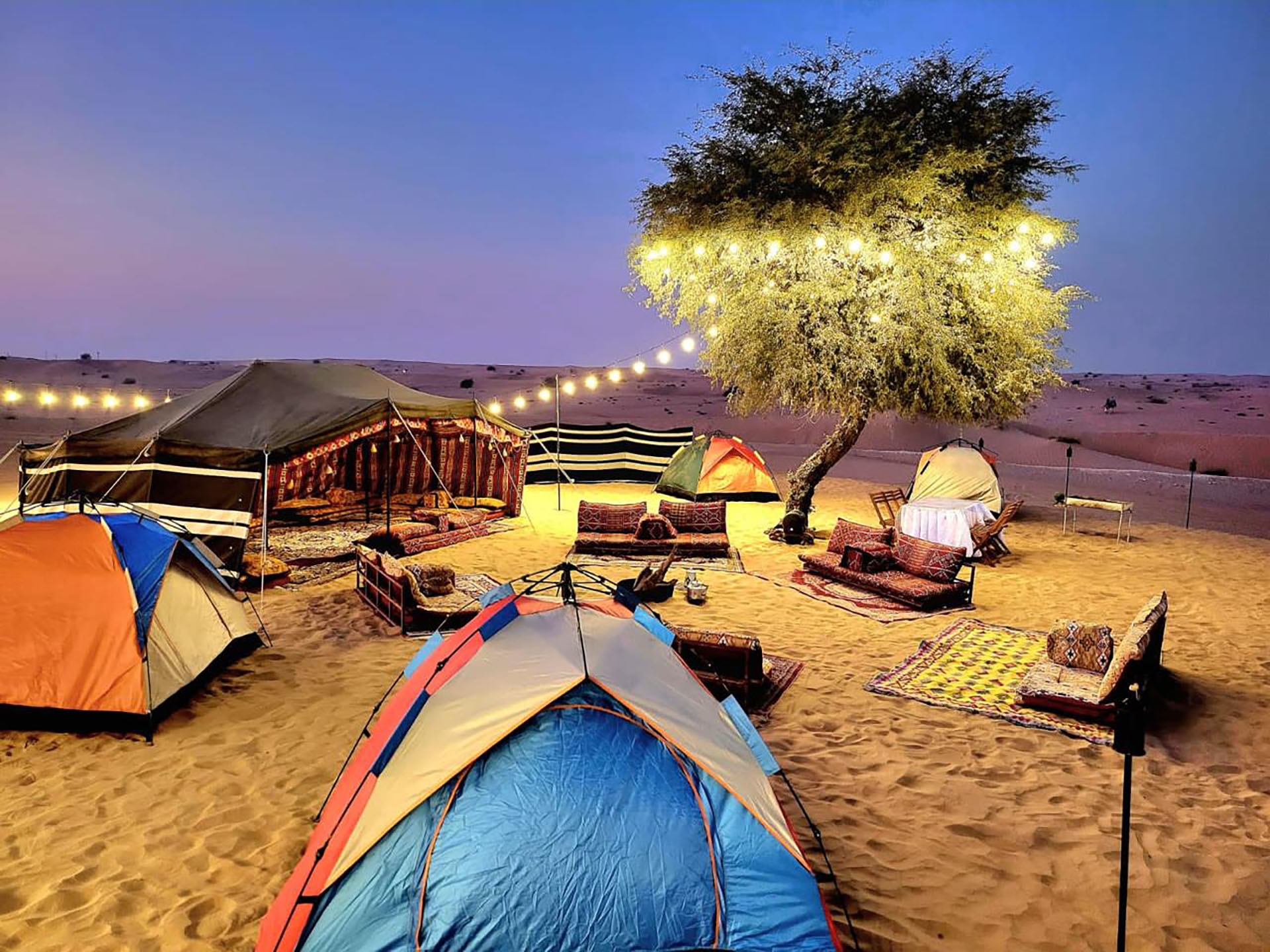 Overnight Desert Safari - thrilling adventure
