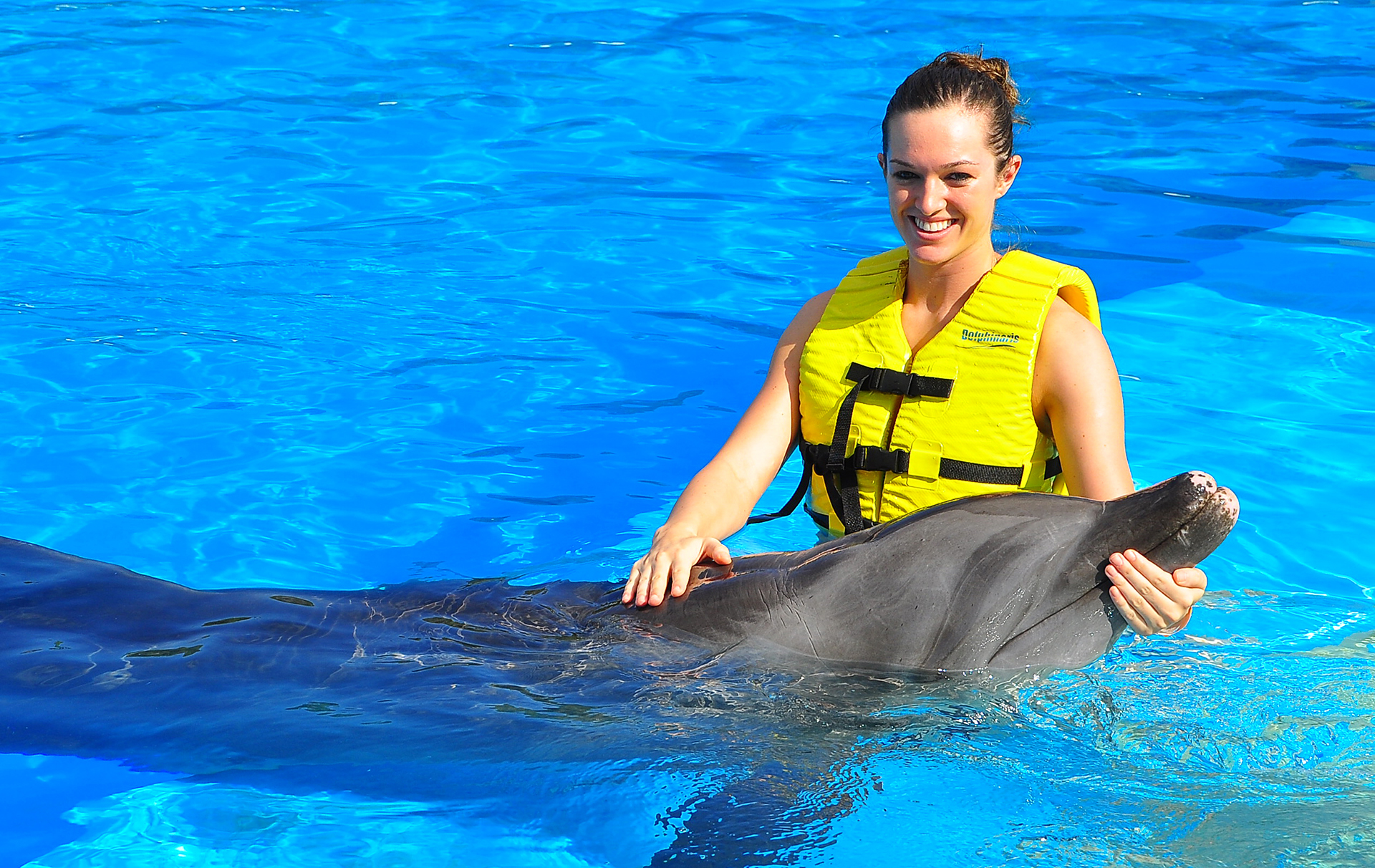 Dolphin & Seal Show - image 6