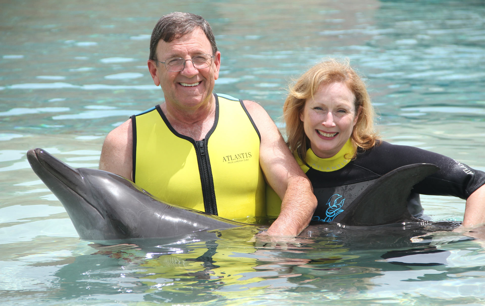 Dolphin & Seal Show - image 2