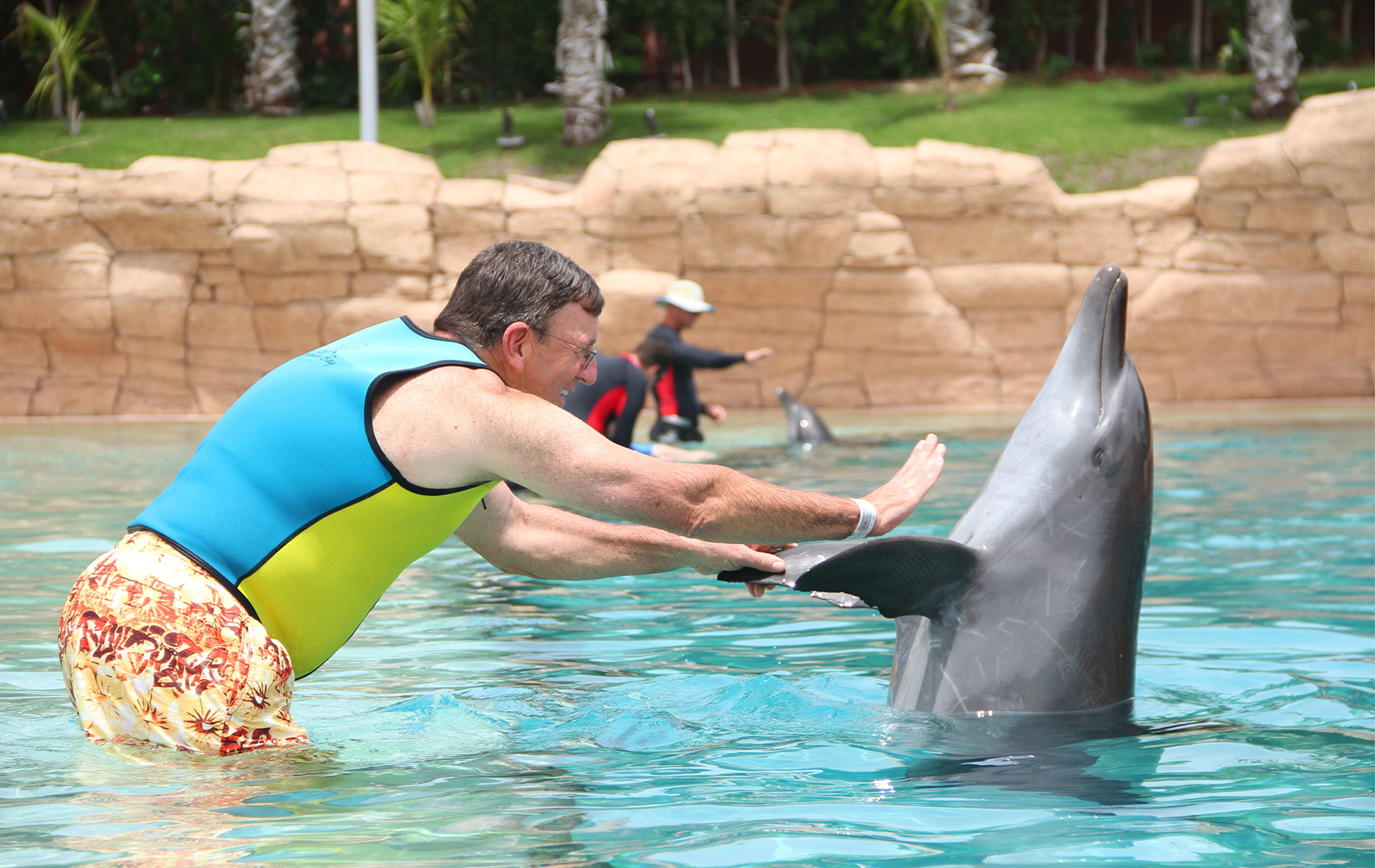 Dolphin & Seal Show - image 4