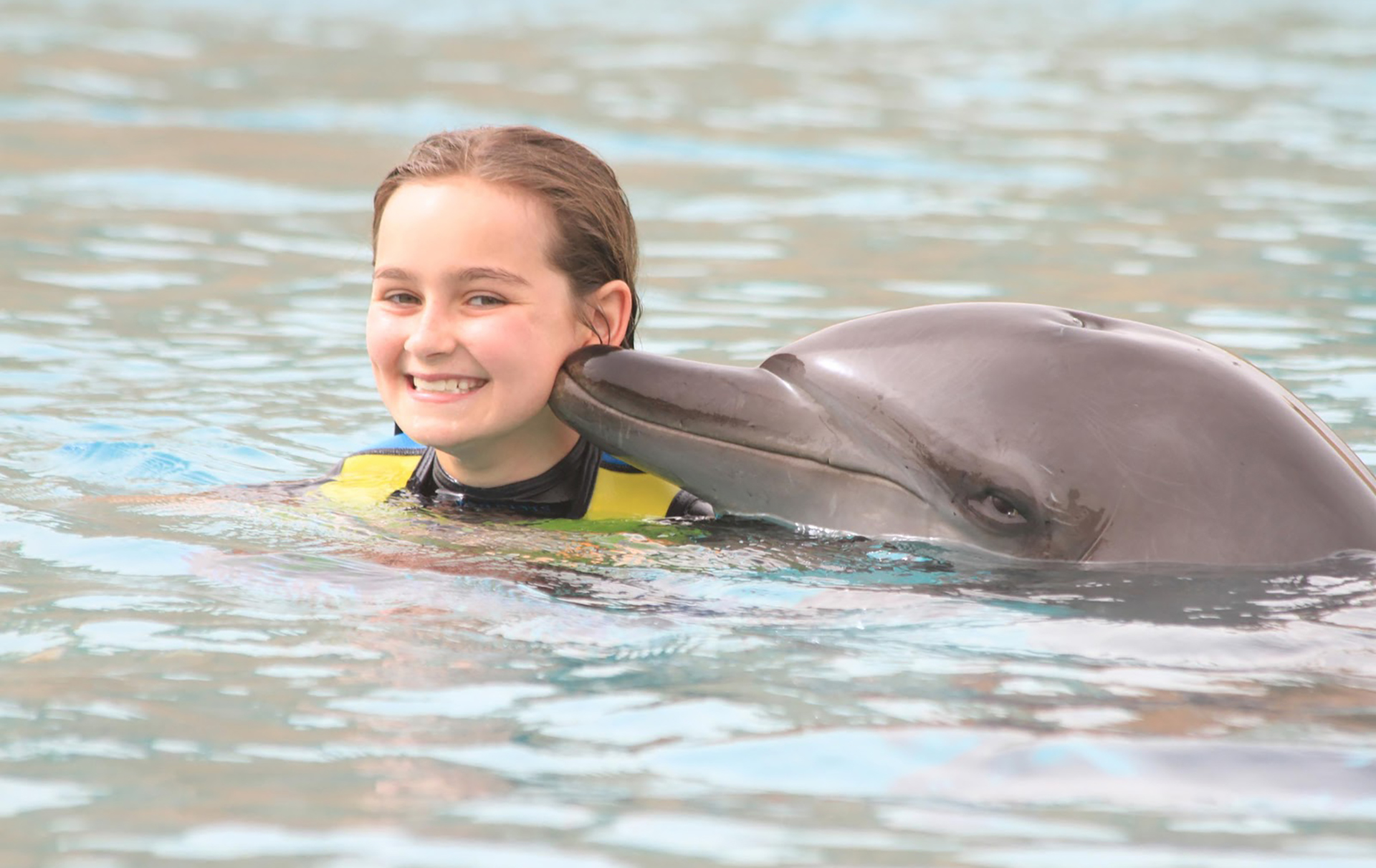 Dolphin & Seal Show - image 9
