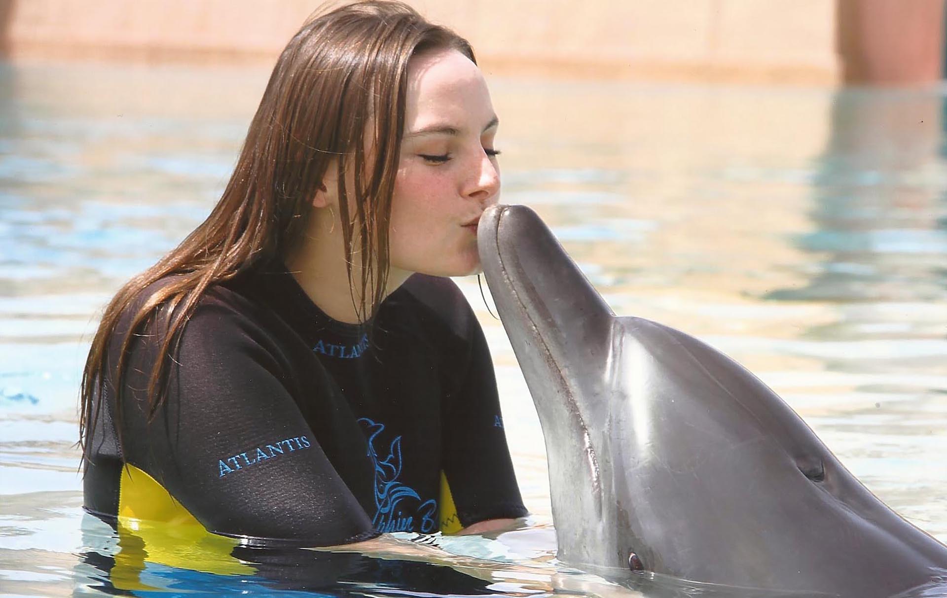 Dolphin & Seal Show - image 5