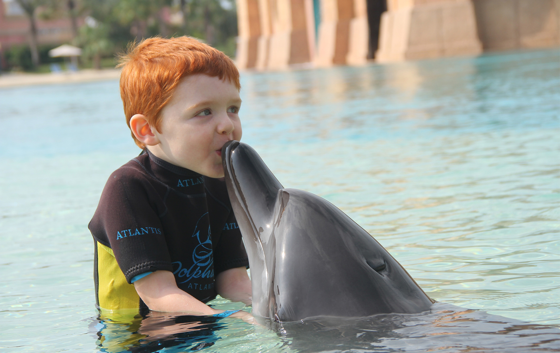 Dolphin & Seal Show Dubai - overview presentation