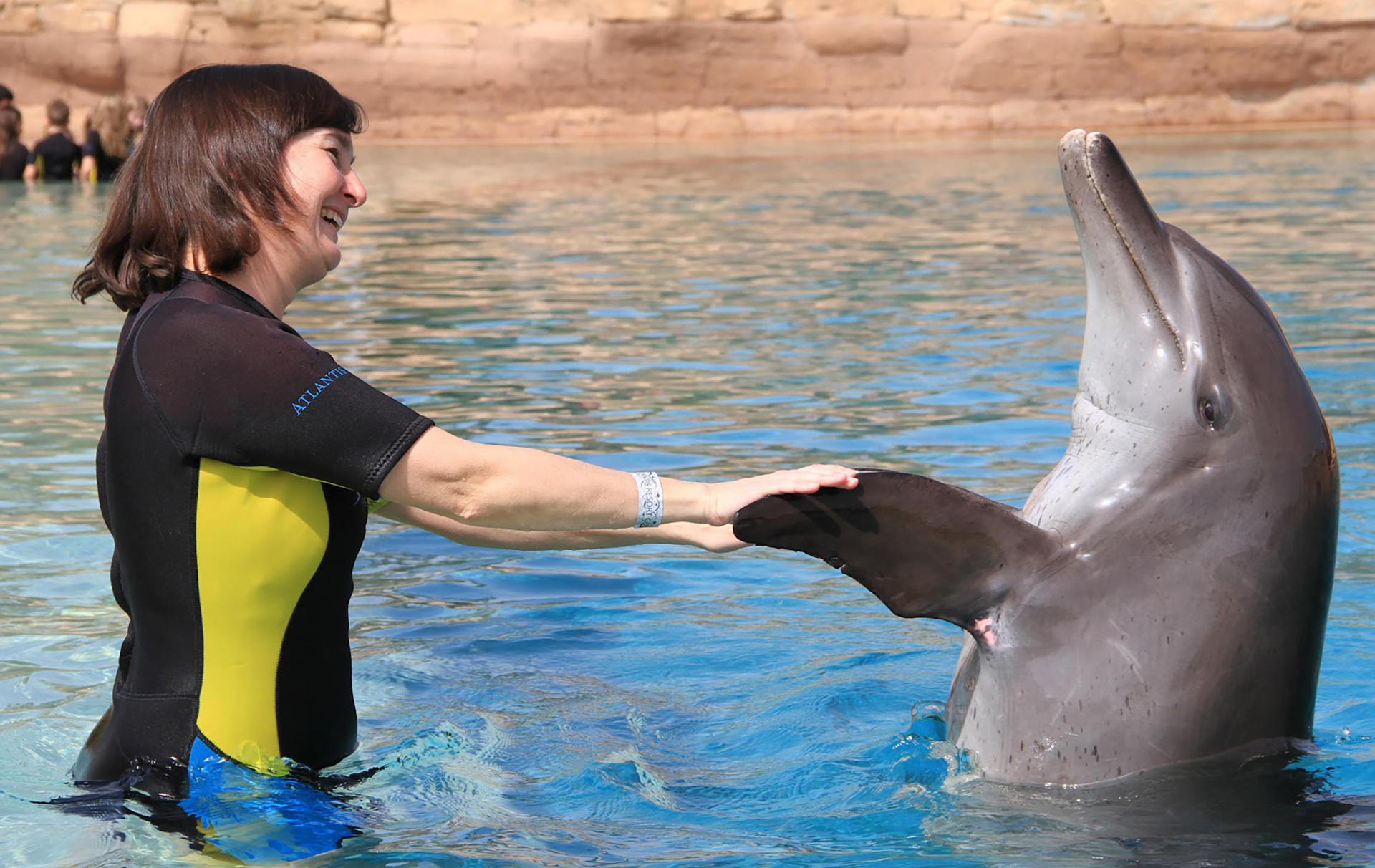Dolphin & Seal Show - image 8