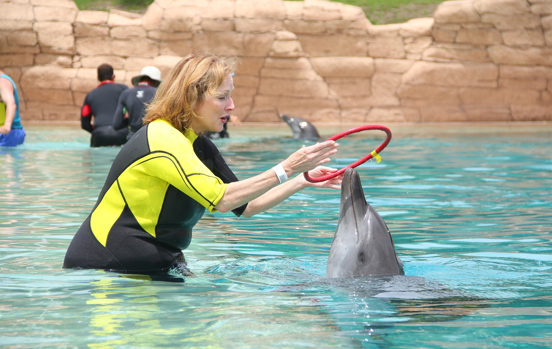 Dolphin & Seal Show - image 3